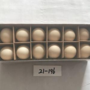 12PC chick egg 19-196
