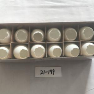 12PC white broken duck egg 19-199