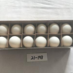 12PC white duck egg 19-198
