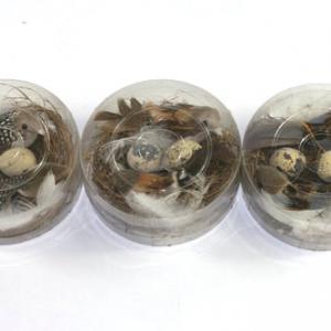 12cm Feather bird with egg in nest ST92017