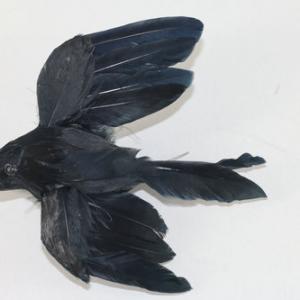 12cm Feather crow