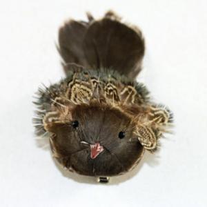 14cm Feather bird natural color with clip