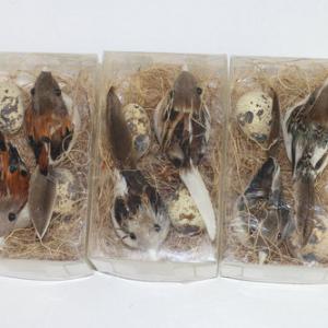 2 bird in nest and 2 egg in nest asst. ST92019