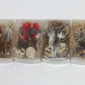 2 bird in nest and 2 egg in nest asst. ST92041