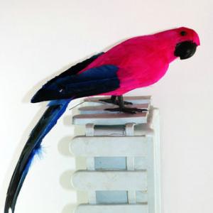 35cm Feather parrot pink