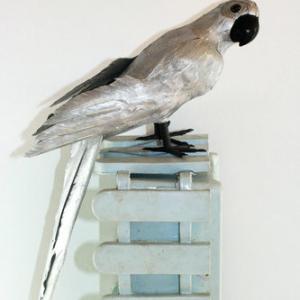 35cm Feather sliver parrot