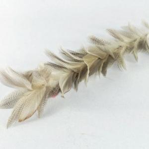 35cm Feather stick 20Y038