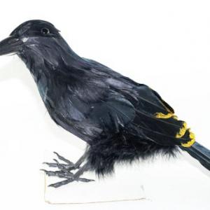 36cm Feather crow