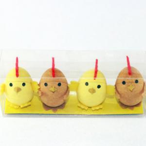 4PC egg of chick EA20-401A