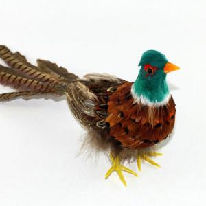 52cm Pheasant