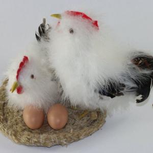 A pair of feather chick in nest ST91016