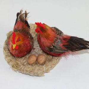 A pair of feather chick in nest ST91114