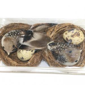 Bird with egg in nest ST92073