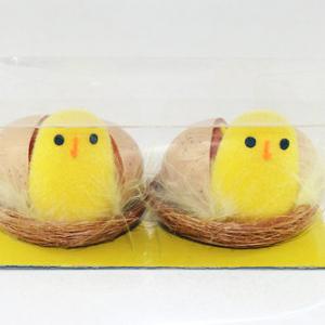 Chick with egg in nest 2pk