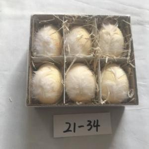 Easter chick egg colored with spot and white feather 21-34/35