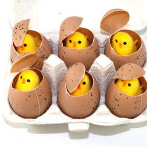 Easter chick in egg 6pc 13BY050-6