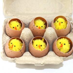 Easter chick in egg 6pc 13BY050A1