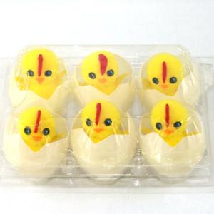 Easter duck in egg 6pc EA6025