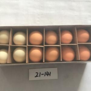 Easter egg color asst. 12pc  21-141/142/143