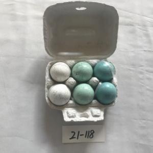 Easter egg color asst. with spot 6pc  21-117/118/119/120