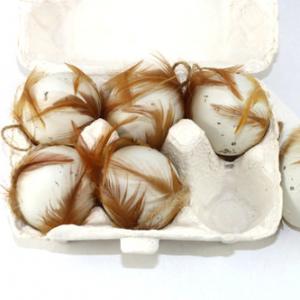 Easter egg with feather and rope 6pc 13BY050-3