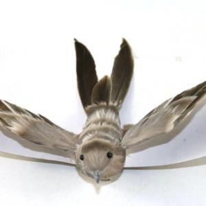 Feather bird with clip 20Y064