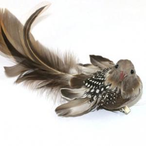 Feather bird with clip 20Y065