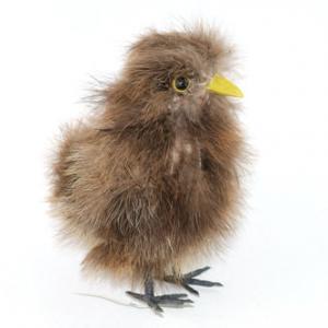 Feather chick 20Y053