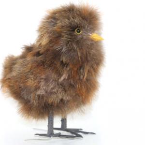 Feather chick 20Y054