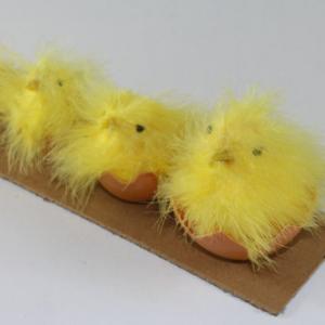 Feather chick in egg ST91052