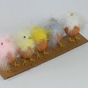 Feather chick in egg ST91056