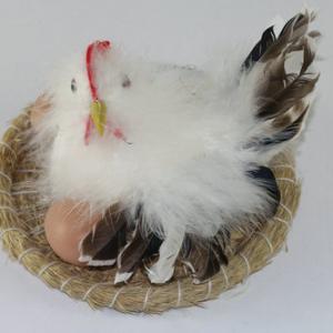 Feather chick in nest ST91021
