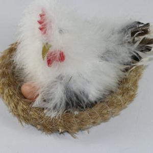 Feather chick in nest ST91021B