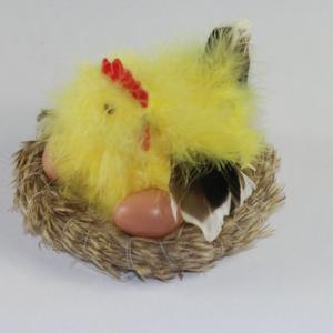 Feather chick in nest ST91022