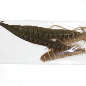 Feather chook tail hanging ornament ST95134