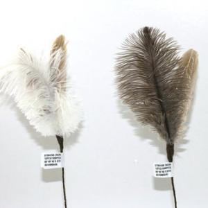Feather stick ST95410