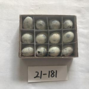 Quail egg colored 12PC 21-181/182/183