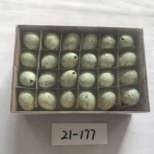 Quail egg colored 48PC 21-177/178/179/180