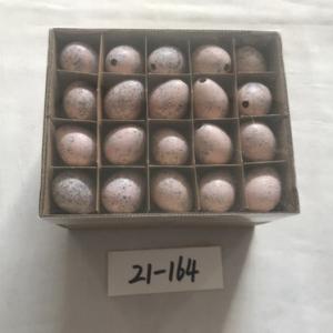 Quail egg colored 60PC 21-164/165/166