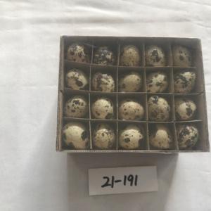 Quail egg natural color 21-191/192/193