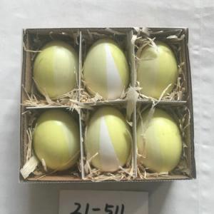 Real chick egg with pattern 21-511/512/513