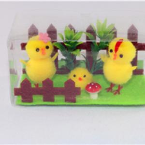 Rural chicken family